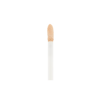 Lasting Perfection Colour Correcting Concealer