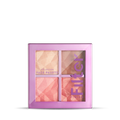 Filter Finish Face Palette