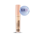 Lasting Perfection Concealer
