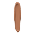 Lasting Perfection Concealer